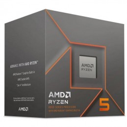 cpu-amd-ryzen-5-8600g-2