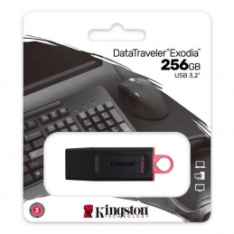 pendrive-kingston-datatraveler-exodia-256gb-3